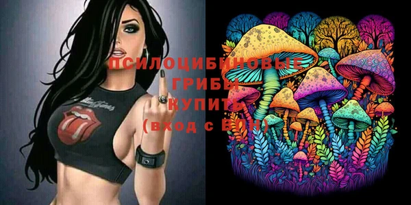 стафф Нязепетровск