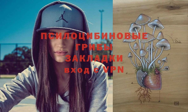 стафф Нязепетровск