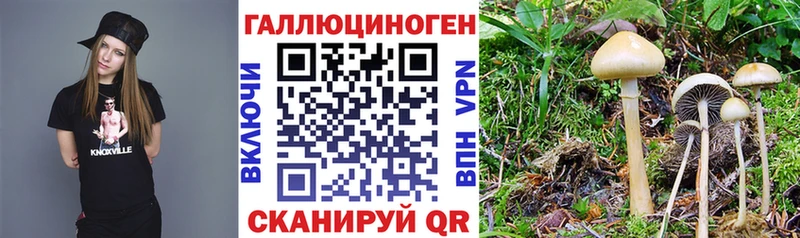 Псилоцибиновые грибы MAGIC MUSHROOMS закладки Оленегорск